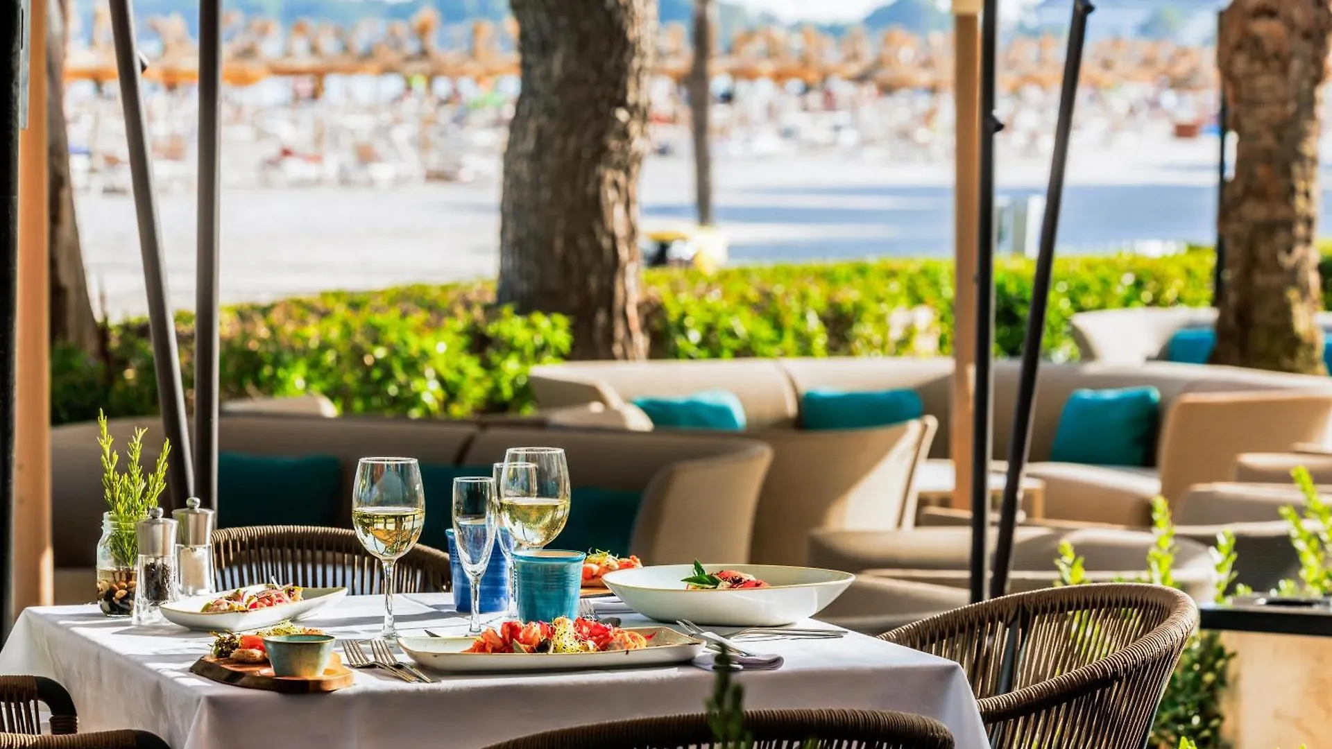 Viva Golf Adults Only 18+ Hotel Port de Alcudia